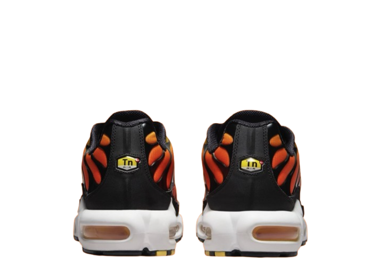 Nike Air Max Plus Sunset (2024) - photo 3