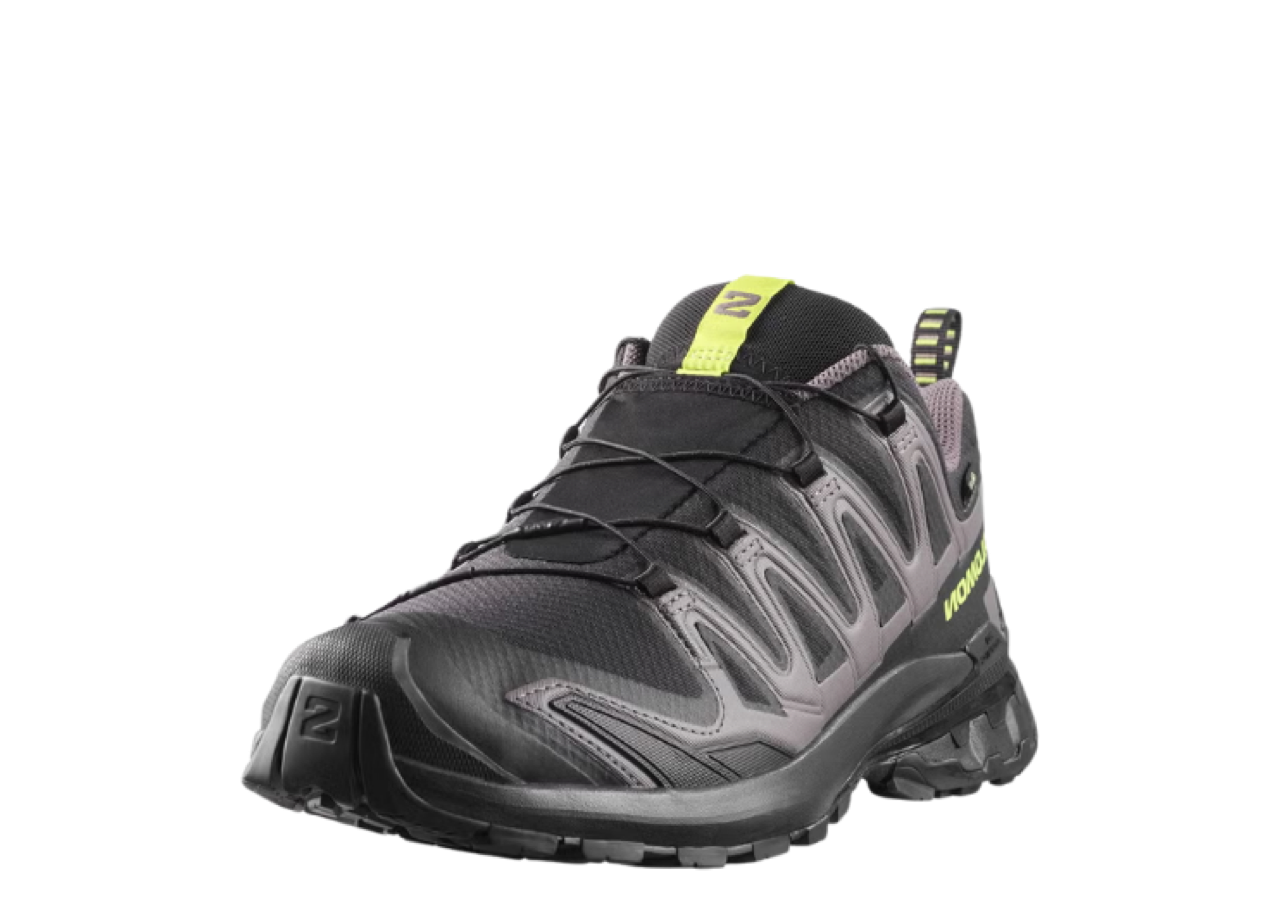 Salomon XA Pro 3D V9 Gore-Tex Black Dark Gull Gray - photo 2
