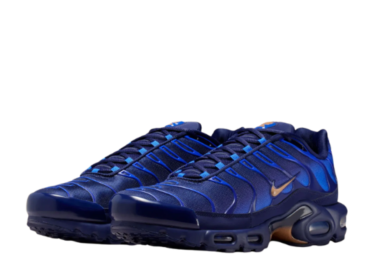 Nike Air Max Plus French Football Federation - photo 2