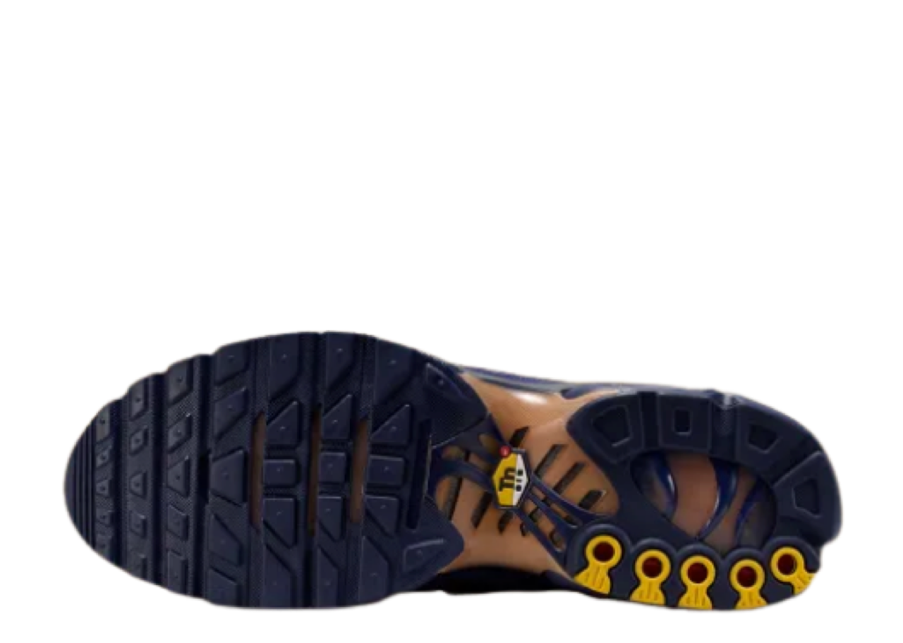 Nike Air Max Plus French Football Federation - photo 4