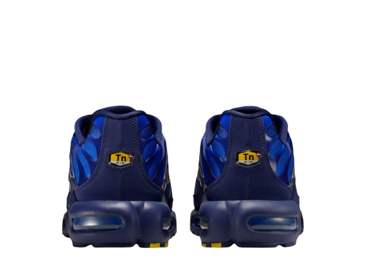 Nike Air Max Plus French Football Federation - photo 3