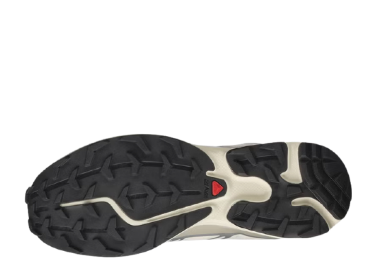 Salomon XT-6 Rainy Day Paloma - photo 4