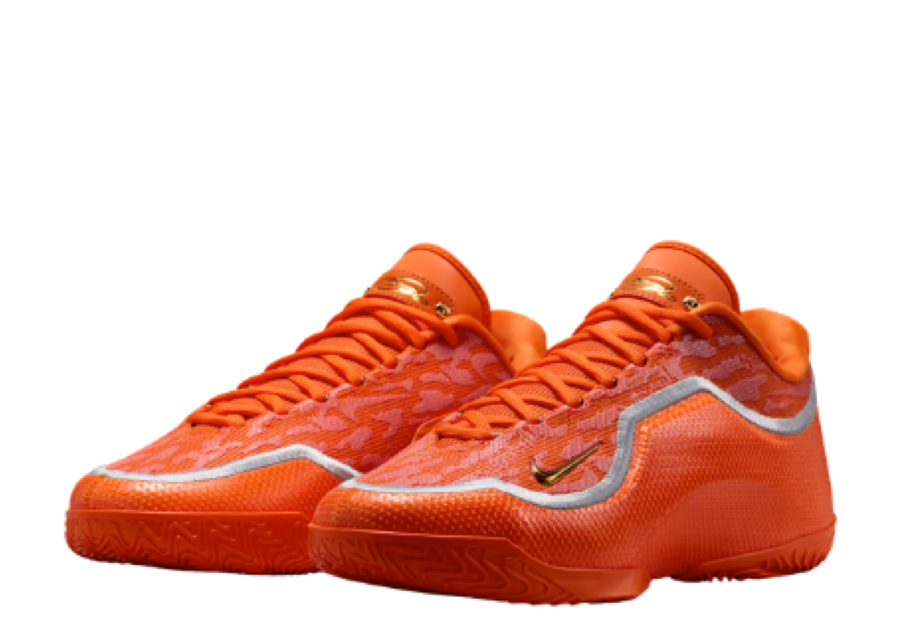 Nike LeBron 23 FK EP Shoe Bag (Solid Outsole) - photo 2