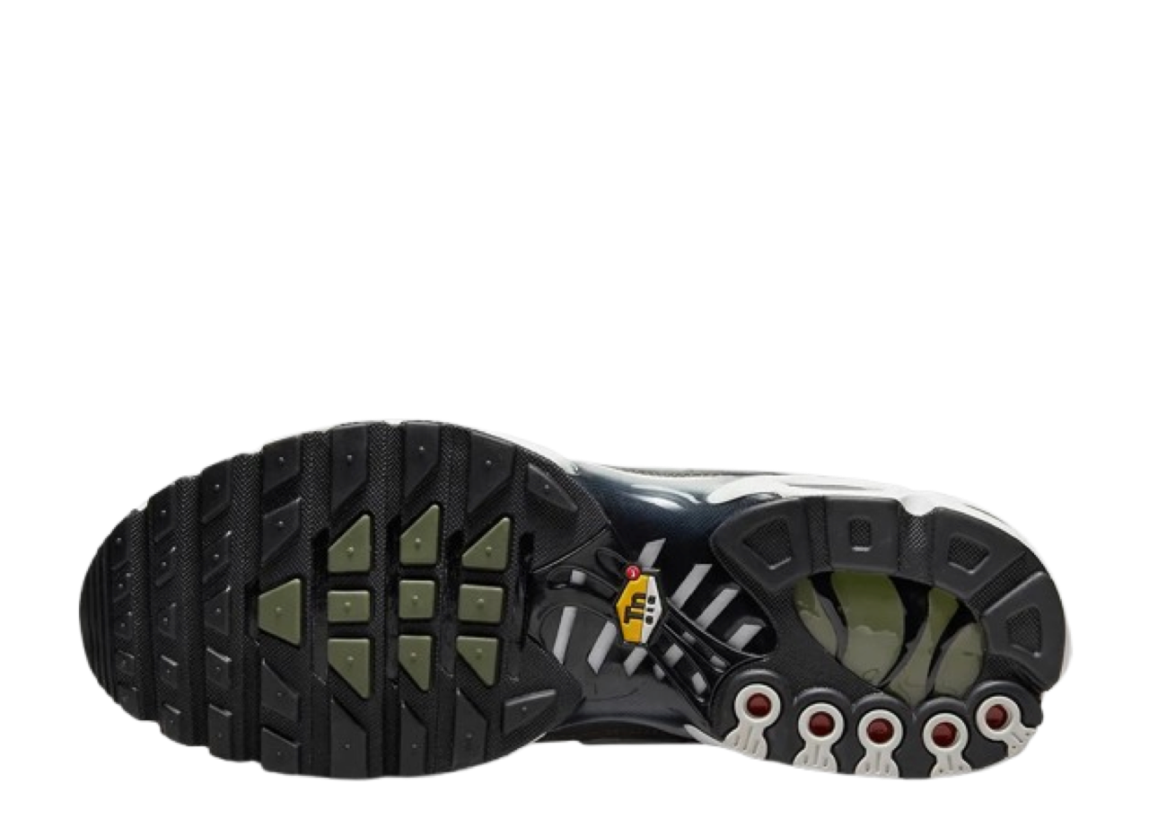 Nike Air Max Plus Flat Pewter - photo 4