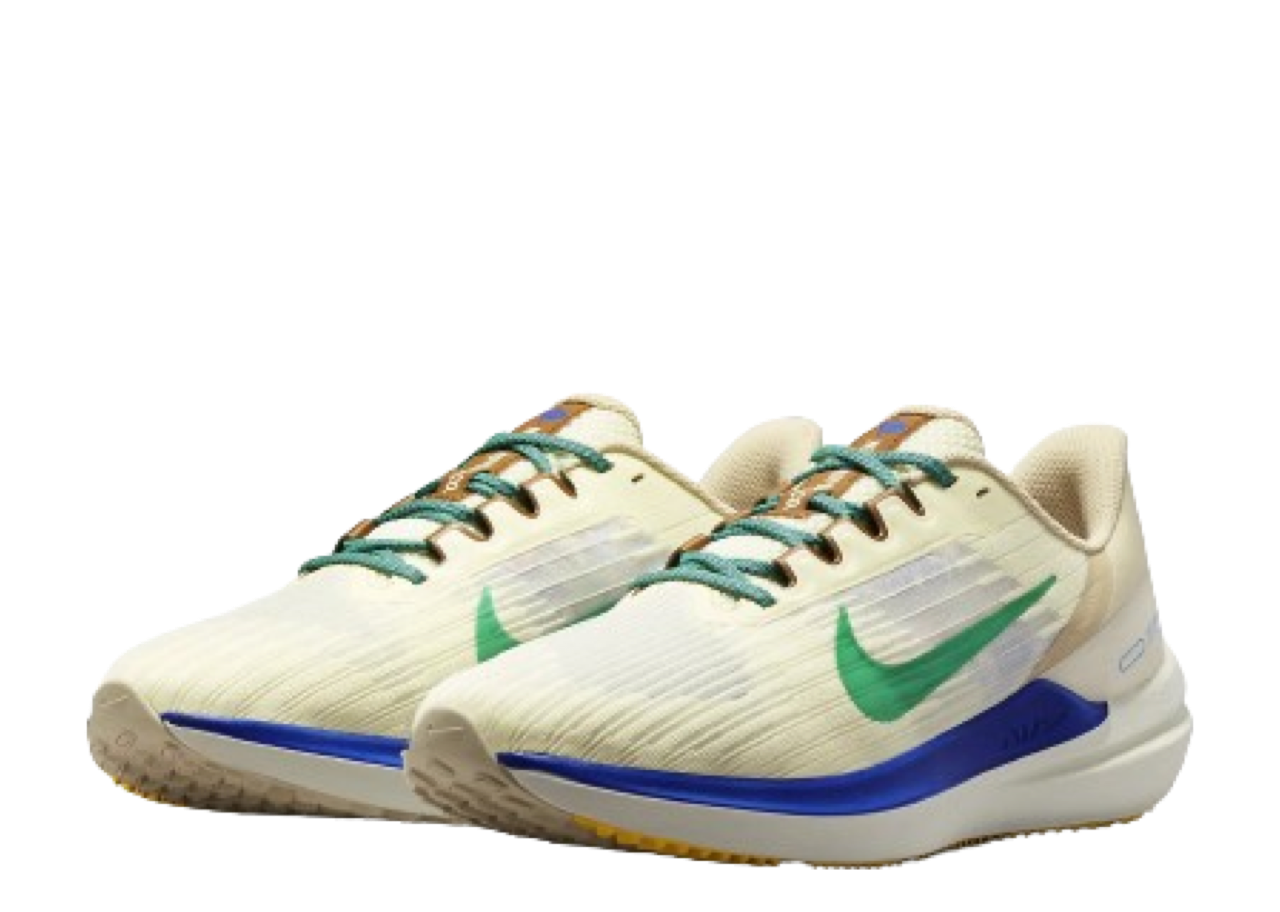 Nike Winflo 9 Premium Nike Moving Company - photo 2